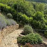 Montebella *